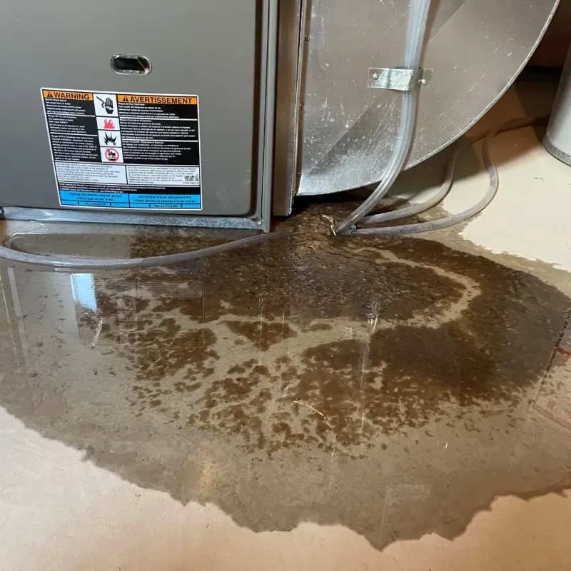 Appliance Leak Cleanup in Warren County, KY