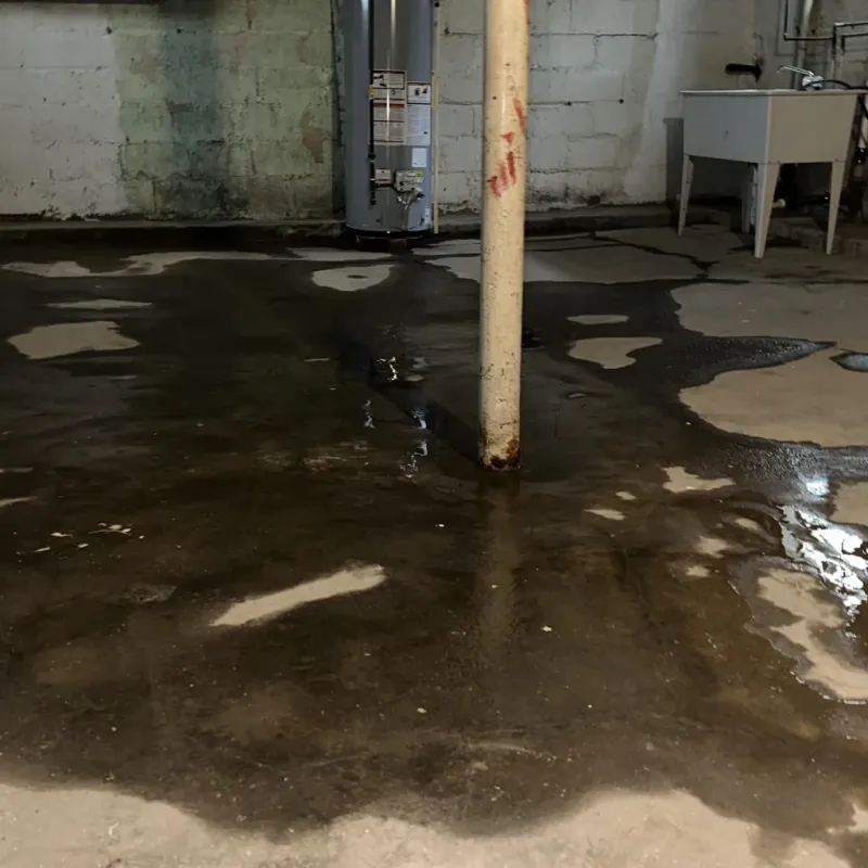 Emergency Water Extraction And Removal in Warren County, KY